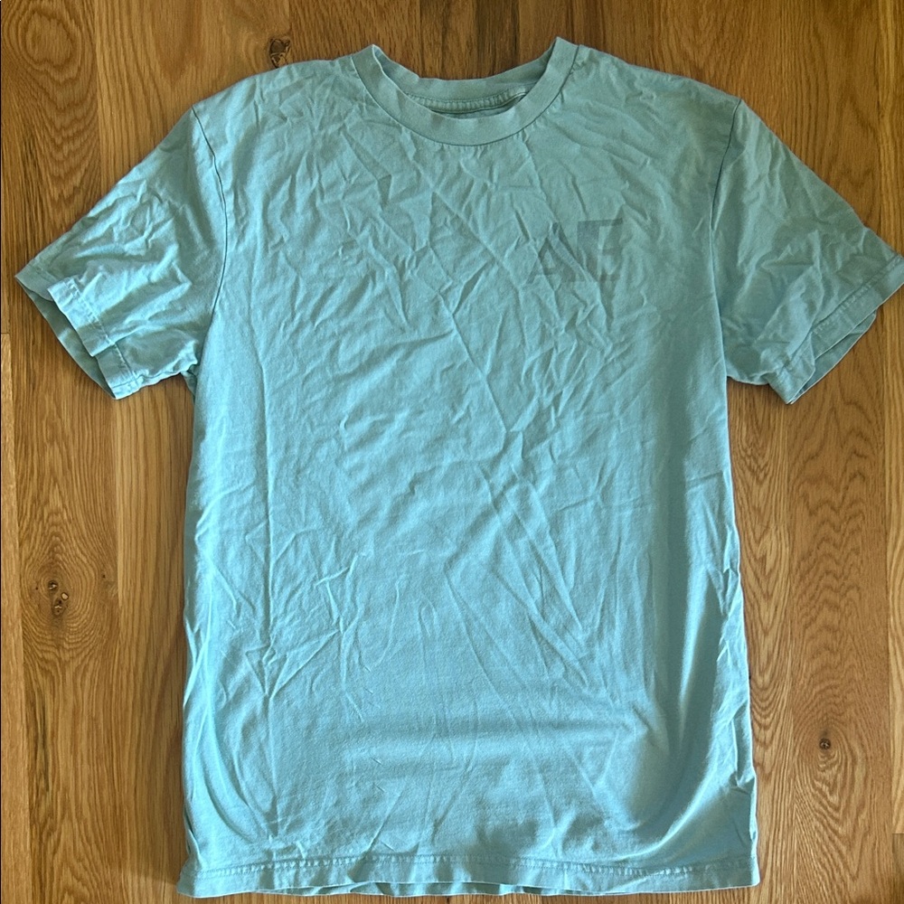 American Eagle Outfitters Sky Blue Short Sleeve Tee